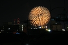 沼津千本松原 花火大会