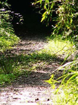 2003081304